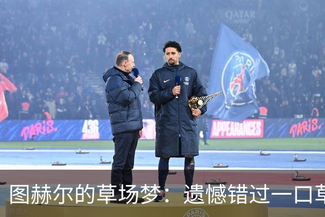 图赫尔的草场梦：遗憾错过一口草的世界杯瞬间